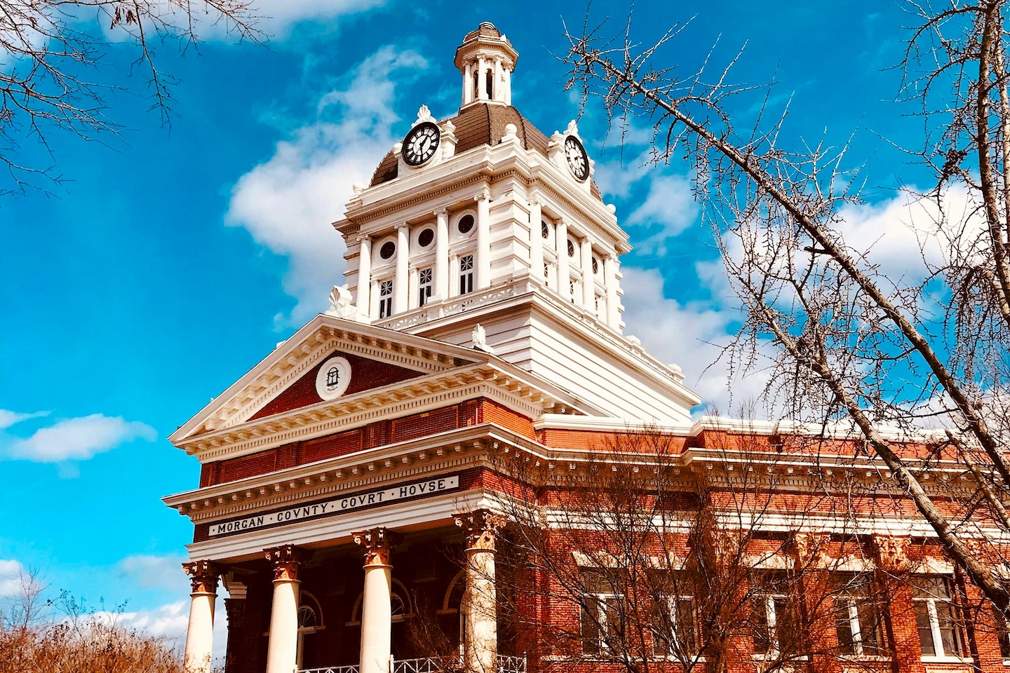 Local Government Representation